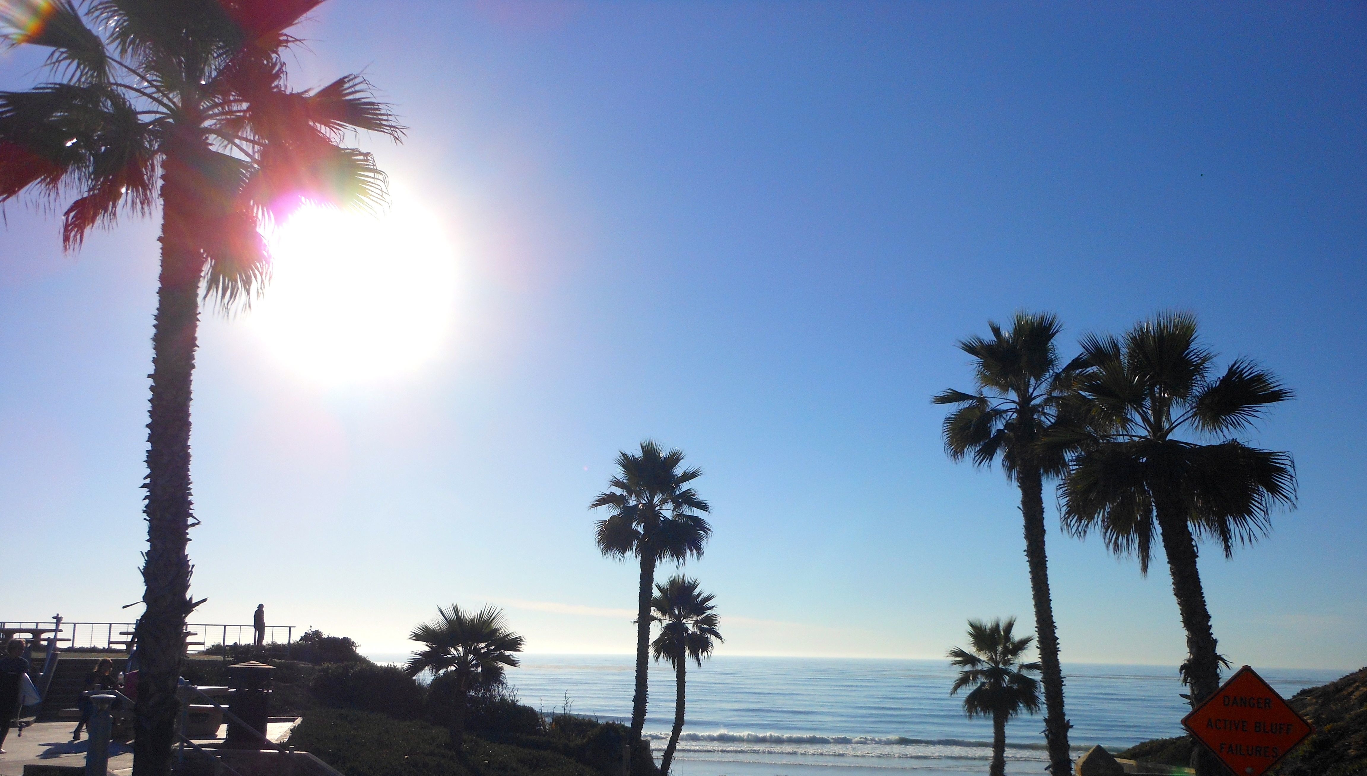 Property Management & Real Estate Company Robinson Realty